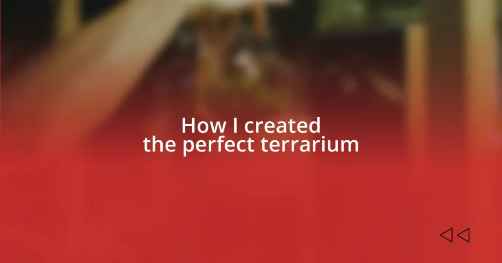 How I created the perfect terrarium