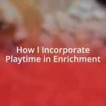 How I Incorporate Playtime in Enrichment