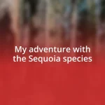 My adventure with the Sequoia species