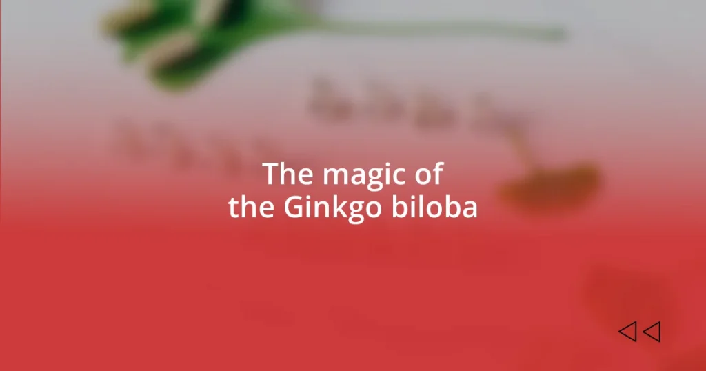 The magic of the Ginkgo biloba