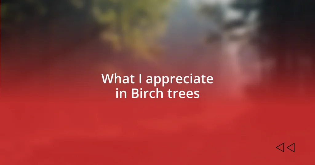 What I appreciate in Birch trees