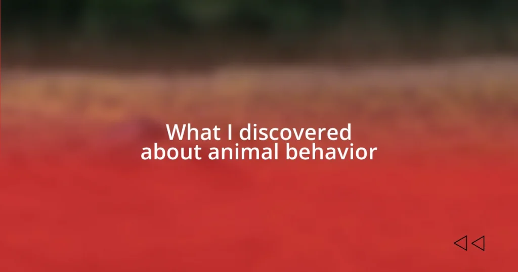 What I discovered about animal behavior