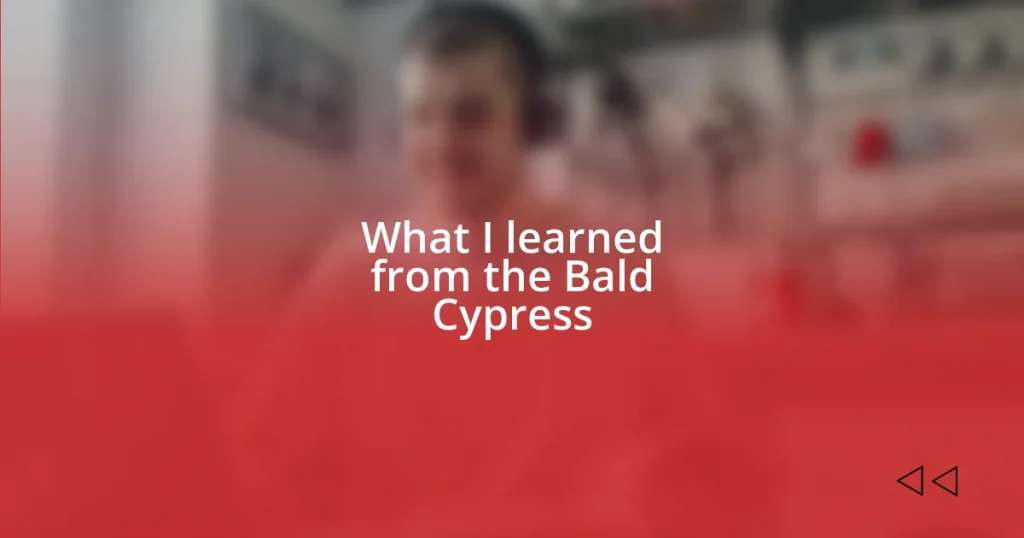 What I learned from the Bald Cypress