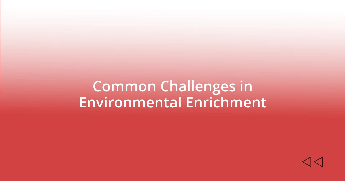 Common Challenges in Environmental Enrichment