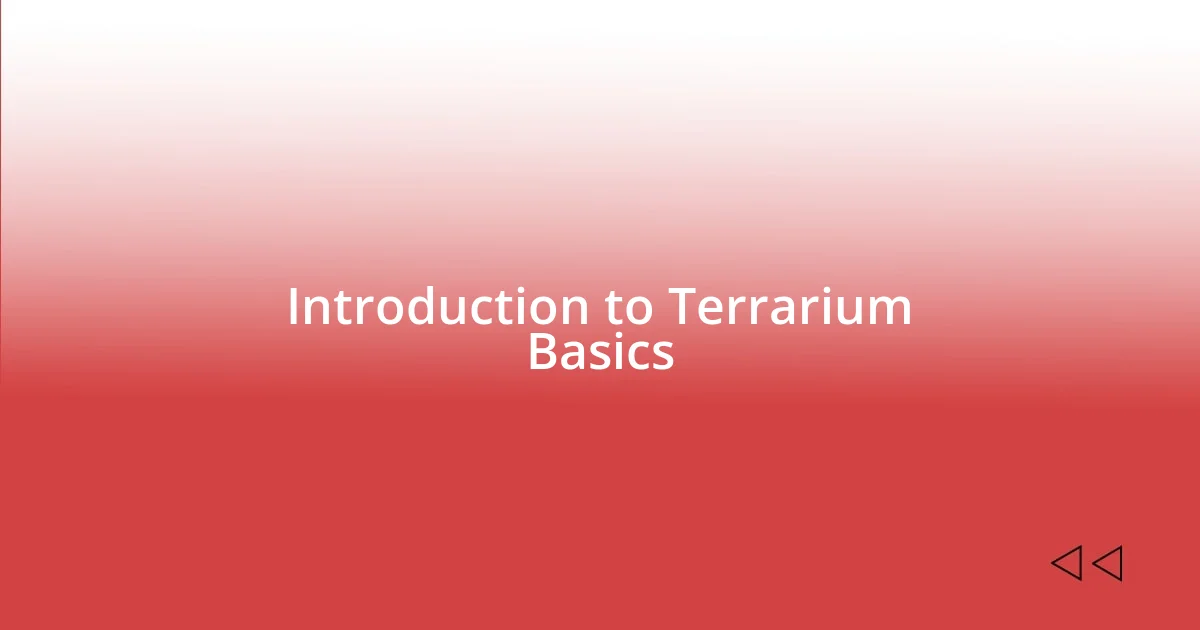 Introduction to Terrarium Basics