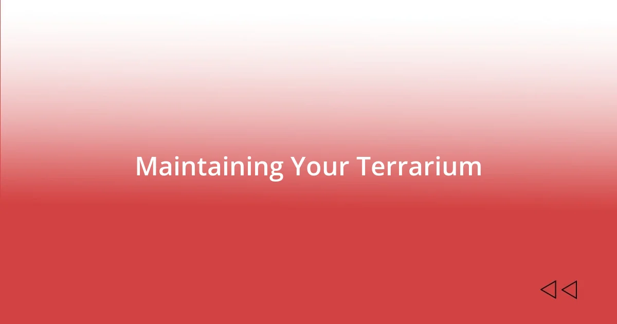 Maintaining Your Terrarium