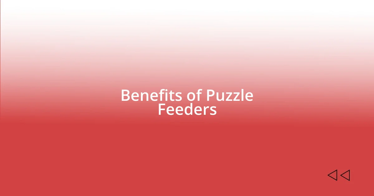 Benefits of Puzzle Feeders