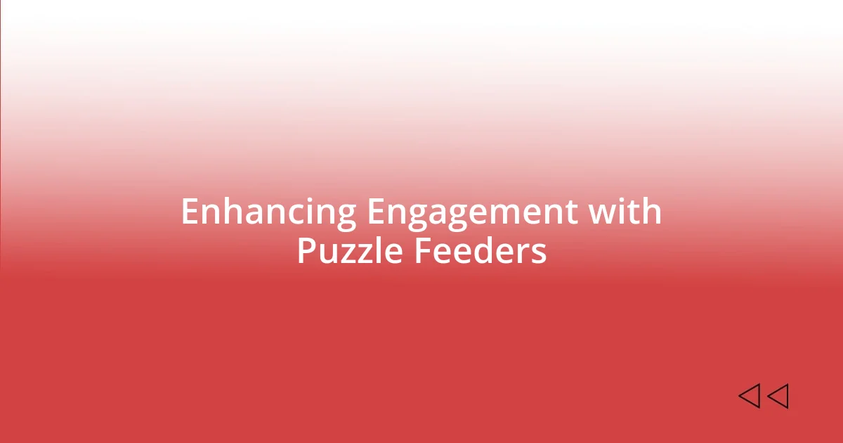 Enhancing Engagement with Puzzle Feeders