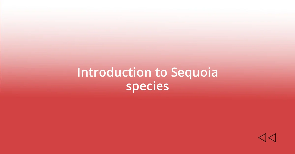 Introduction to Sequoia species