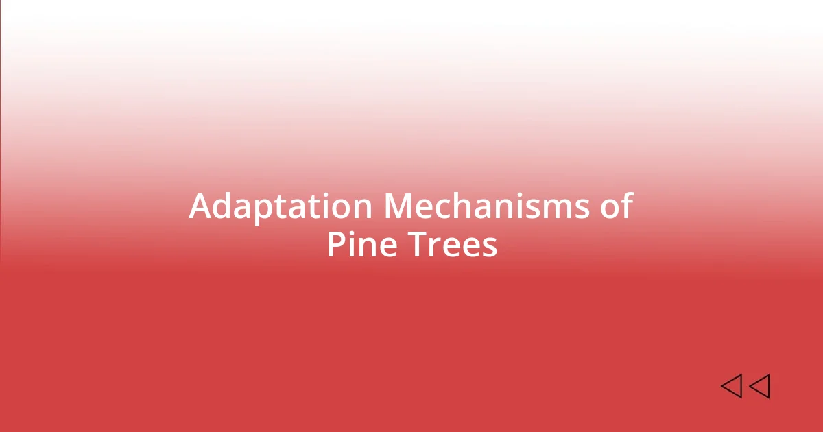 Adaptation Mechanisms of Pine Trees