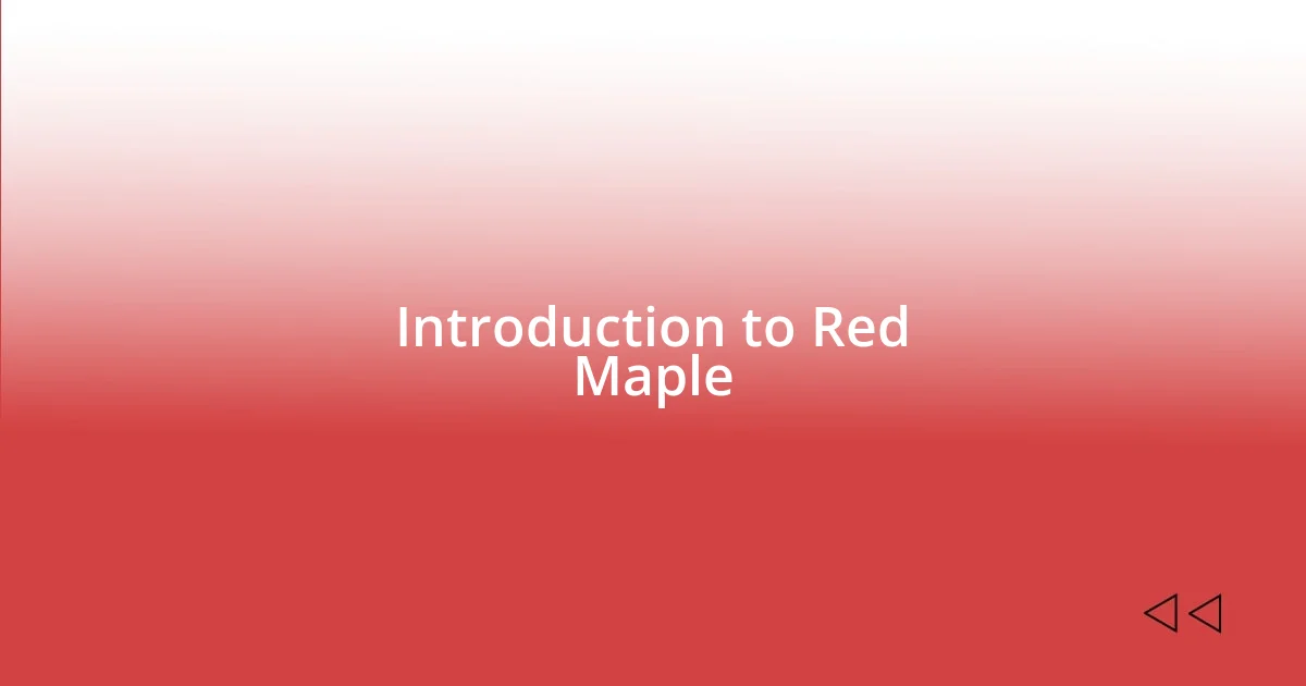 Introduction to Red Maple