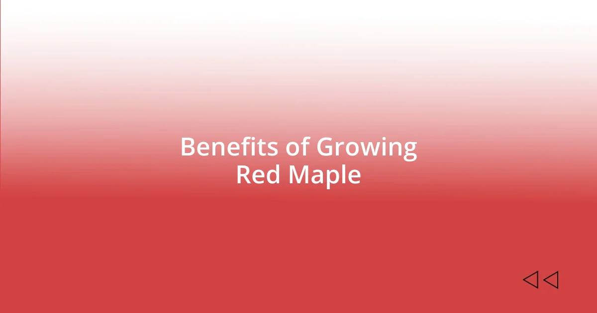 Benefits of Growing Red Maple