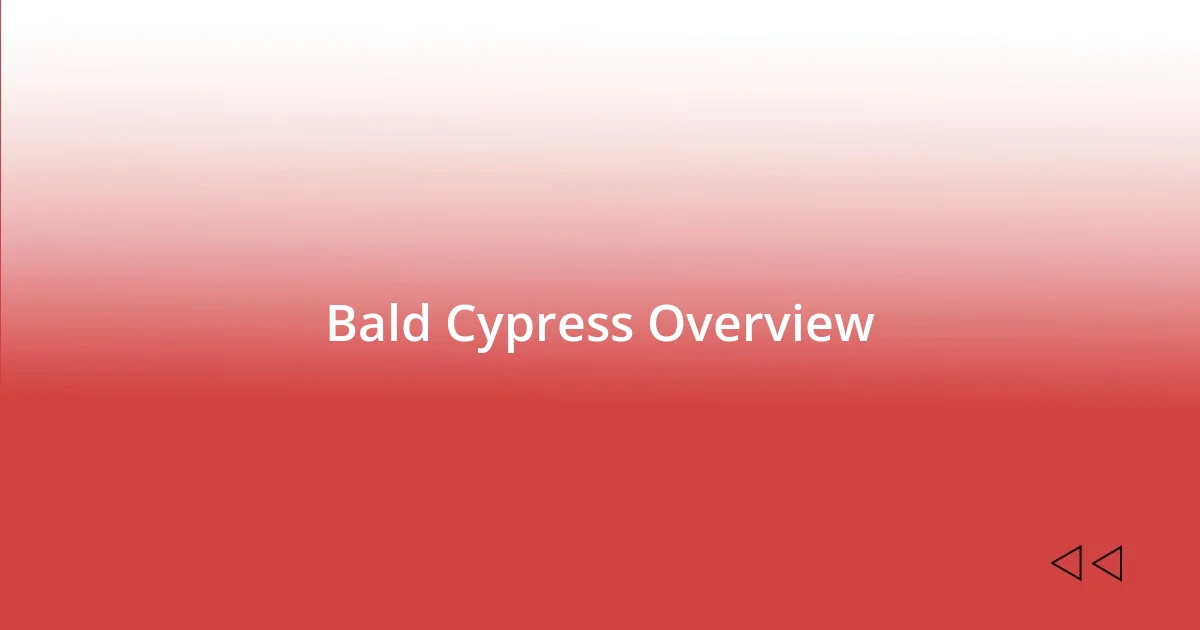 Bald Cypress Overview