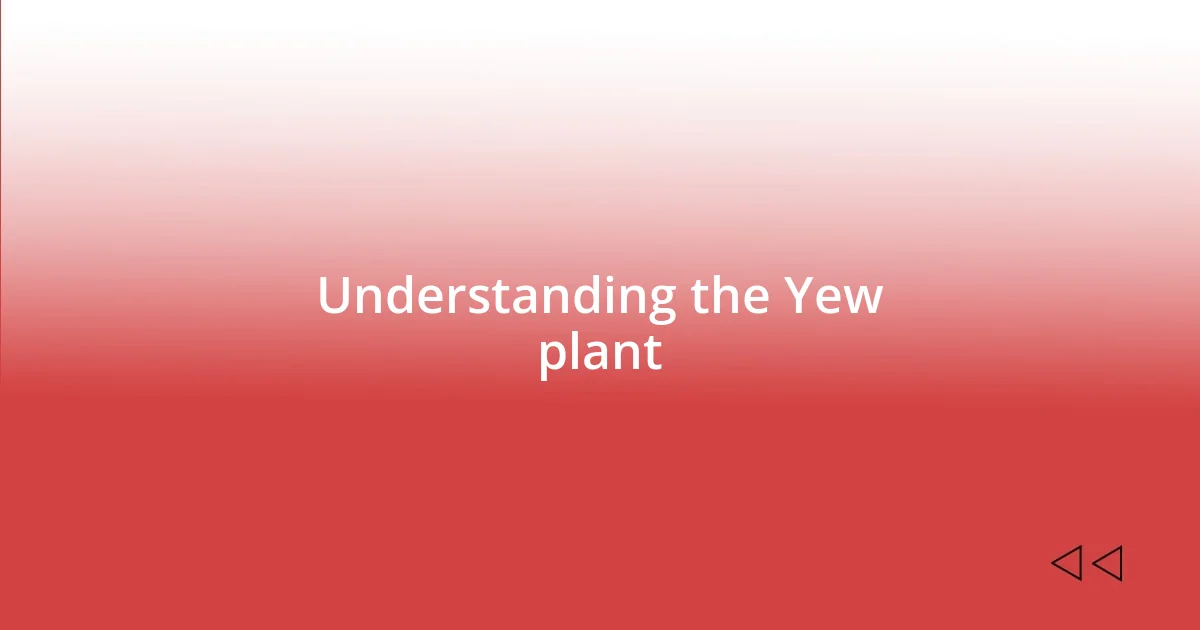 Understanding the Yew plant